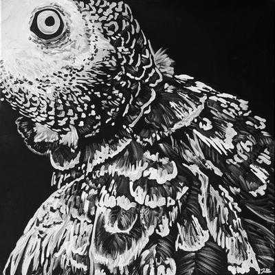 My Friend The Bird I