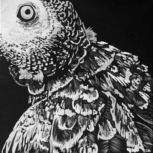My Friend The Bird I